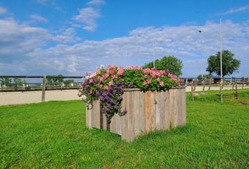 Grote moestuinbak of bomenbak beschikbaar voor biedingen