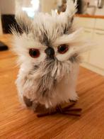 Kerst uiltjes, Diversen, Kerst, Ophalen