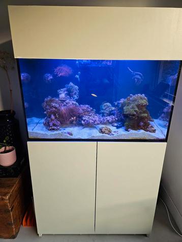 Redsea Reefer 250 incl. alles beschikbaar voor biedingen