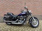Kawasaki VN800 Classic motor 800cc, Motoren, 2 cilinders, Chopper, Bedrijf, 800 cc