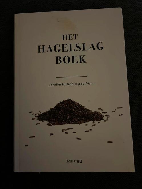 Het Hagelslag Boek - Jennifer Foster & Lianne Koster, Boeken, Kookboeken, Gelezen, Taart, Gebak en Desserts, Nederland en België