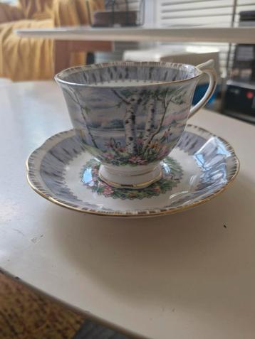 ROYAL ALBERT kop en schotel Silver  beschikbaar voor biedingen
