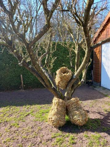 Eendenkorven beschikbaar voor biedingen