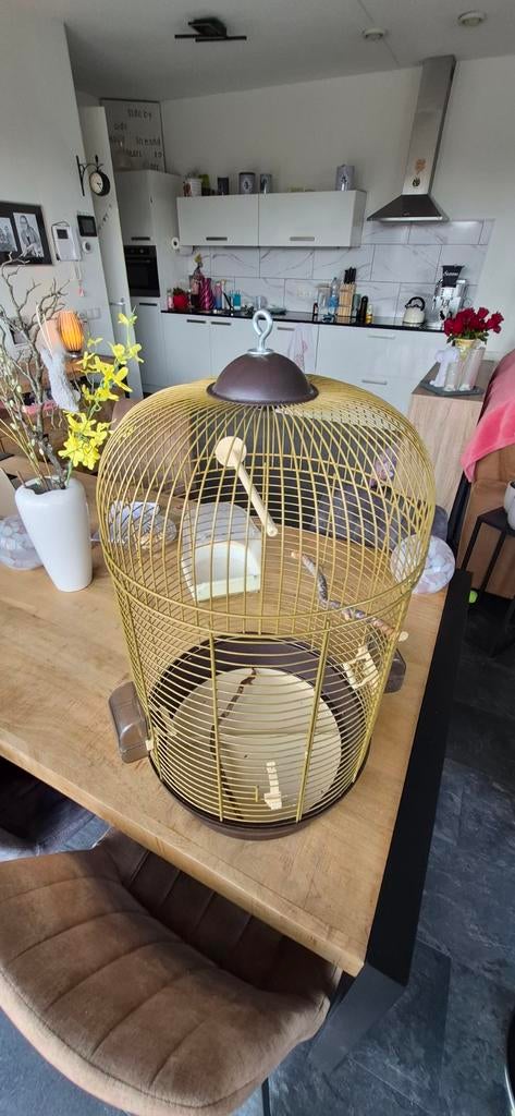 Ronde vogelkooi, Dieren en Toebehoren, Vogels | Hokken en Kooien, Ophalen, Metaal, Vogelkooi