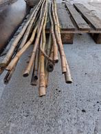 Set van 10 bamboe bonenstokken, Ophalen