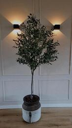 Kunst Olijfboom in Houten Pot met Koeienhuid, Huis en Inrichting, Ophalen of Verzenden, Nieuw, Binnen