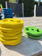 Schijven 1,25 kg, Sport en Fitness, Fitnessmaterialen, Ophalen