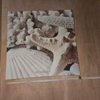 Canvas Schilderij Riverdale Zee Thema, Ophalen, 50 tot 75 cm, Zo goed als nieuw, Schilderij