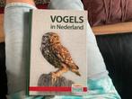 Gloed nieuwe vogel boek, Ophalen of Verzenden, Nieuw, Vogels