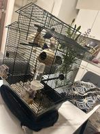 Papegaai, Dieren en Toebehoren, Ophalen of Verzenden, Zo goed als nieuw, Metaal, Vogelkooi