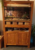 Hardhouten kast met ingebouwd terrarium plus rattenslang, Dieren en Toebehoren, Reptielen en Amfibieën | Toebehoren, Ophalen, Zo goed als nieuw