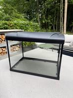 HS Aqua Platy 50 liter acquarium 2 maanden gebruikt, Dieren en Toebehoren, Vissen | Aquaria en Toebehoren, Ophalen
