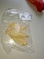 Halloween Bouwpakket - Scorpioen, Overige merken, Nieuw, Ophalen of Verzenden, Groter dan 1:32