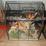 Vlinderstolp met echte vlinders  handgemaakt., Dieren en Toebehoren, Ophalen of Verzenden, Zo goed als nieuw, Minder dan 60 cm