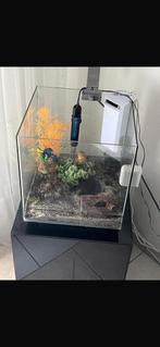 aquarium, Dieren en Toebehoren, Ophalen, Zo goed als nieuw