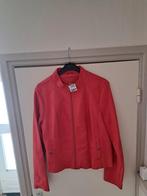 Dames, Ophalen, Zo goed als nieuw, Maat 46/48 (XL) of groter