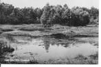 Vierhouten Ossekolk., Ophalen of Verzenden, 1960 tot 1980, Gelopen, Gelderland