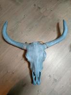 Grote buffel schedel, Ophalen of Verzenden, Zo goed als nieuw