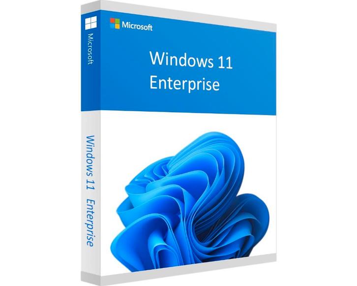 Windows 11 Enterprise Key | Inclusief ondersteuning, Computers en Software, Besturingssoftware, Nieuw, Windows, Ophalen of Verzenden