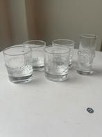 Iittala NIVA shotglazen (5 stuks), Verzamelen, Glas en Borrelglaasjes, Ophalen of Verzenden, Zo goed als nieuw, Overige typen