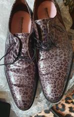 Floris van Bommel schoenen, Ophalen of Verzenden, Zo goed als nieuw, Bruin