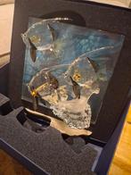 Swarovski. Wonders of the sea community. In doos. Prachtig, Verzamelen, Swarovski, Ophalen of Verzenden, Zo goed als nieuw, Figuurtje