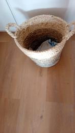 Mand grote pitriet mand  / korf 40 x 35 nieuw, Mand, Rond, Nieuw, Ophalen of Verzenden