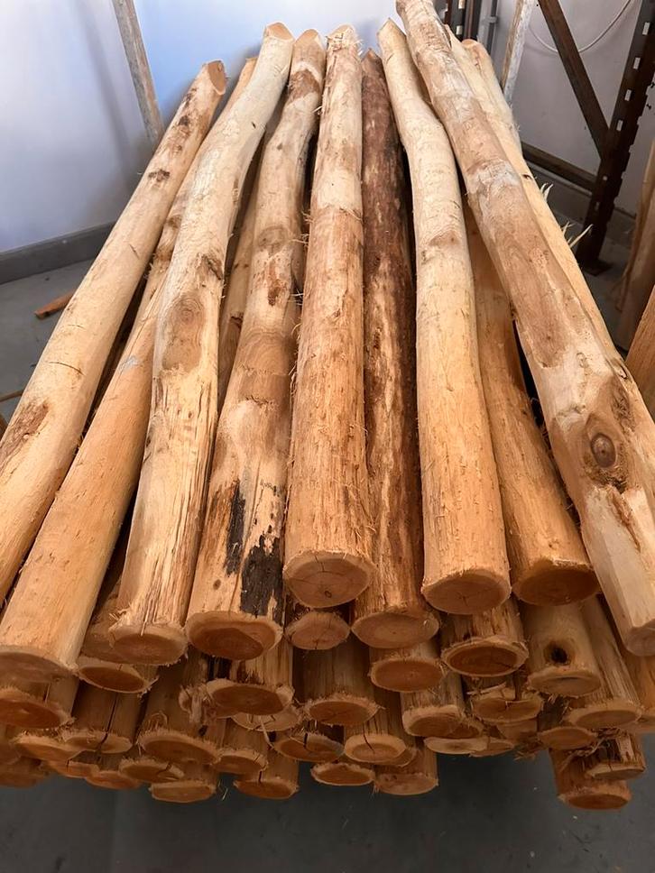 Weide palen Robinia hout 180cm grote voorraad hardhout, Tuin en Terras, Palen, Balken en Planken, Nieuw, Palen, 250 cm of meer