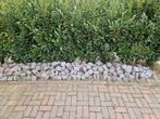 Bestrating restjes gratis op te halen, Tuin en Terras, Ophalen, Gebruikt, Beton, Klinkers