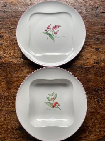 2 NIEUWE Villeroy&Boch vivo floral borden beschikbaar voor biedingen