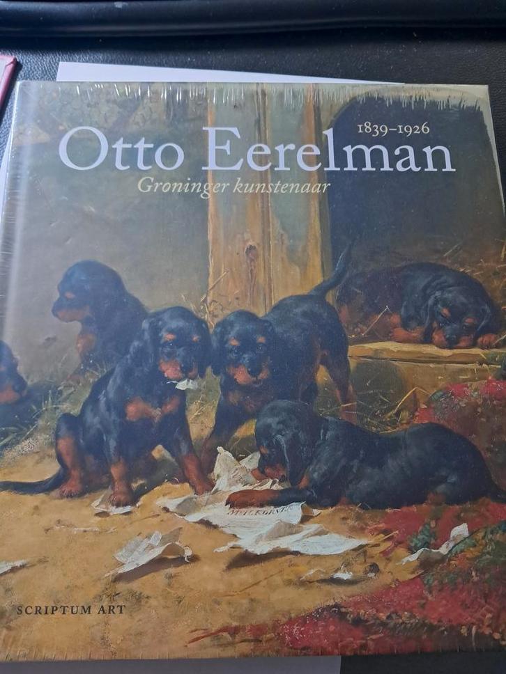 Otto Eerelman,  Groninger kunstenaar, Boeken, Kunst en Cultuur | Beeldend, Nieuw, Ophalen