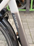 Stella Livorno Elektrische fiets met voorwiel motor ebike!, Fietsen en Brommers, Elektrische fietsen, Overige merken, Ophalen of Verzenden