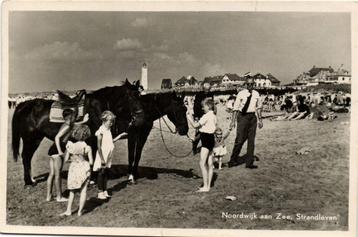 Noordwijk aan Zee, Strandleven - volk paard - 1953 gelopen beschikbaar voor biedingen