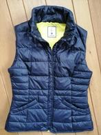 COLOURS OF THE WORLD bodywarmer blauw maat M - nieuw -, Maat 38/40 (M), Blauw, Nieuw, Ophalen of Verzenden