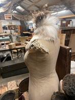 Antieke paspop/buste H83cm, Ophalen