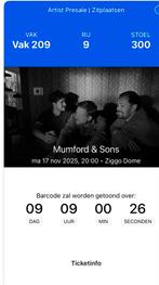 2 tickets Mumford & Sons maandag 17-11. ZIGGO, Tickets en Kaartjes, Twee personen, November