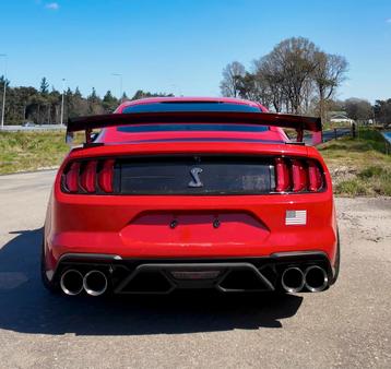 GALA OF BRUILOFT AUTO - MUSTANG SHELBY beschikbaar voor biedingen