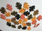 Herfsttafel decoraties, Ophalen, Nieuw