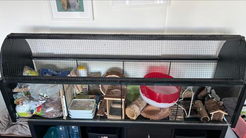 Groot knaagdieren terrarium, Dieren en Toebehoren, Knaagdieren en Konijnen | Hokken en Kooien, Gebruikt, Hok, 60 tot 90 cm, 110 cm of meer