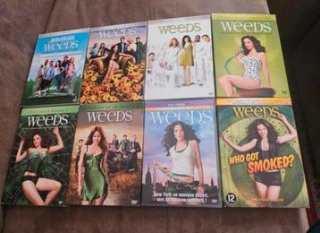 Weeds - Complete Serie DVD Boxset 1-8 beschikbaar voor biedingen