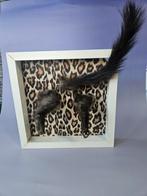 Taxidermy Lijstje met pootjes en staart, Ophalen of Verzenden, Nieuw, Hond of Kat, Opgezet dier