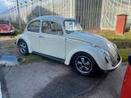 Volkswagen vw Kever 1967 Standaard one year only zeldzaam, Lichtmetalen velgen, Volkswagen, Wit, Handgeschakeld