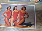 Baywatch stickers jaren 90 Merlin, Verzamelen, Ophalen of Verzenden