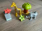 Duplo 1.5-2+ jaar: losse setjes & extra’s, Ophalen, Gebruikt, Losse stenen, Duplo