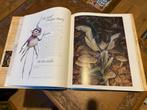 Brian Froud - Good Faeries/Bad Faeries, Boeken, Ophalen of Verzenden, Zo goed als nieuw, Overige onderwerpen