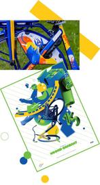 OV-fiets in Noord-Brabant, Daniël Roozendaal, 30 bij 20 cm., Ophalen of Verzenden