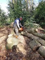 Openhaard hout - bezorgen Assen/Beilen/Groningen/Meppel, Tuin en Terras, Haardhout, Minder dan 3 m³, Ophalen of Verzenden, Overige houtsoorten