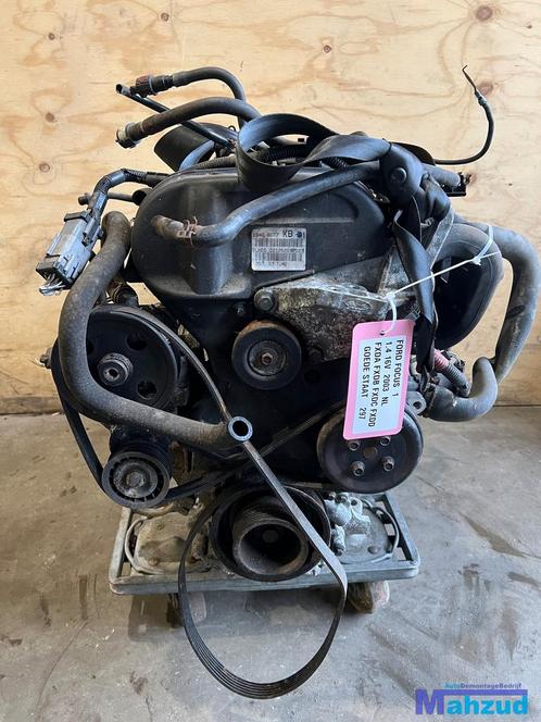 FORD FOCUS 1 1.4 16V Motorblok FXDA FXDB FXDC FXDD motor, Auto-onderdelen, Motor en Toebehoren, Ford, Gebruikt, Ophalen of Verzenden