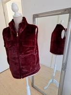 Bodywarmer, Kleding | Dames, Bodywarmers, Ophalen of Verzenden, Nieuw, Maat 38/40 (M), Rood