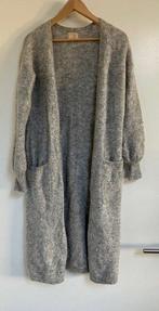 Leuk lang vest Josh V maat S - kleine M, Kleding | Dames, Maat 38/40 (M), Ophalen of Verzenden, Gedragen, Josh V